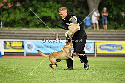 Stylish Motion`s Apple